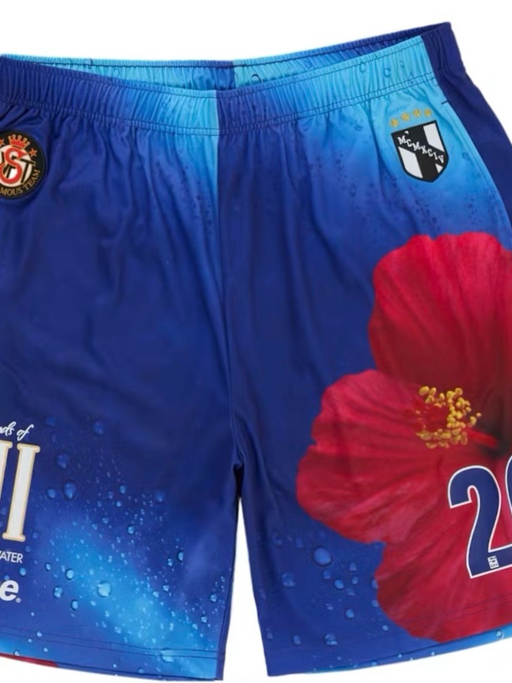 Men's Supreme Fiji soccer Shorts